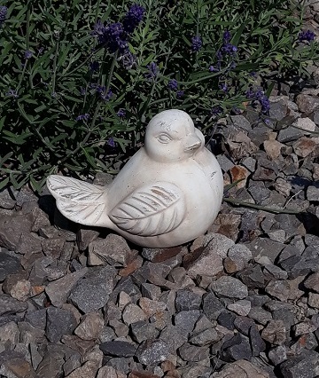 Vtáčik z kameniny