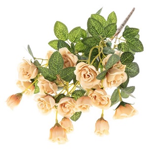 Kytica ruží