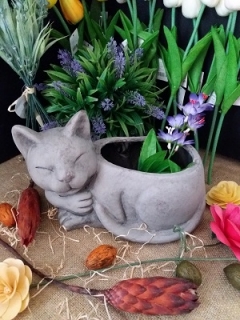 Kvetináč mačička